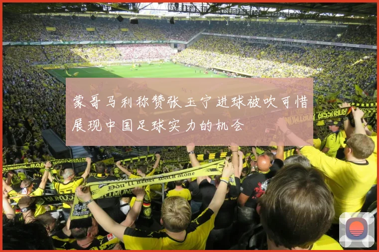 蒙哥马利称赞张玉宁进球被吹可惜展现中国足球实力的机会