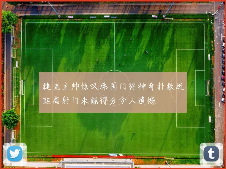 捷克主帅惊叹韩国门将神奇扑救近距离射门未能得分令人遗憾