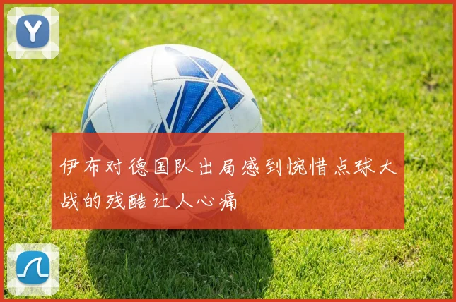 伊布对德国队出局感到惋惜点球大战的残酷让人心痛